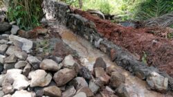 Pembangunan Drainase Di kelurahan Air Kuti Diduga proyek siluman 