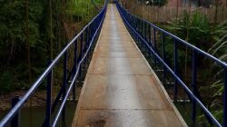 Jembatan Gantung Taba Pingin Dibangun dengan Anggaran Rp 130 Juta, Tapi Kondisinya Memprihatinkan
